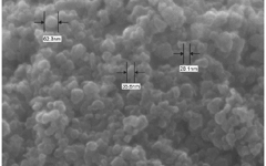 Silicon Carbide (SiC) Nano Powder-Scanning electron microscope picture 4