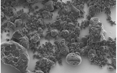 Graphite Nano Powder-Scanning electron microscope picture