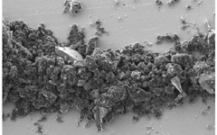 Silicon Carbide (SiC) Nano Powder-Scanning electron microscope picture