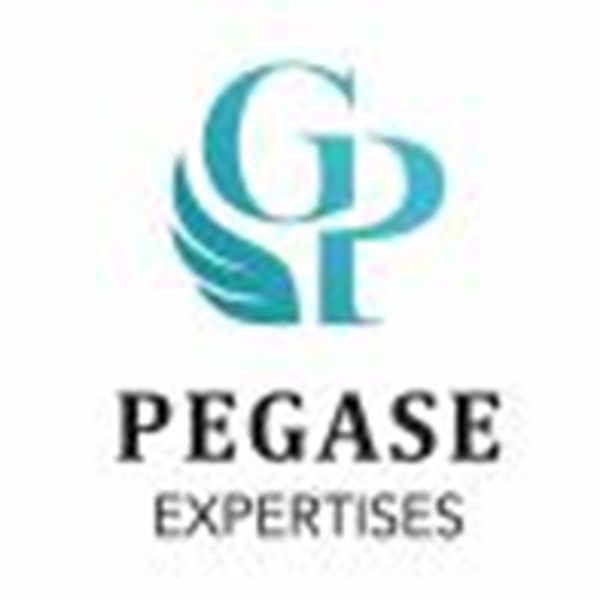 PEGASE EXPERTISES