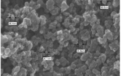 Graphite Nano Powder-Scanning electron microscope picture 4