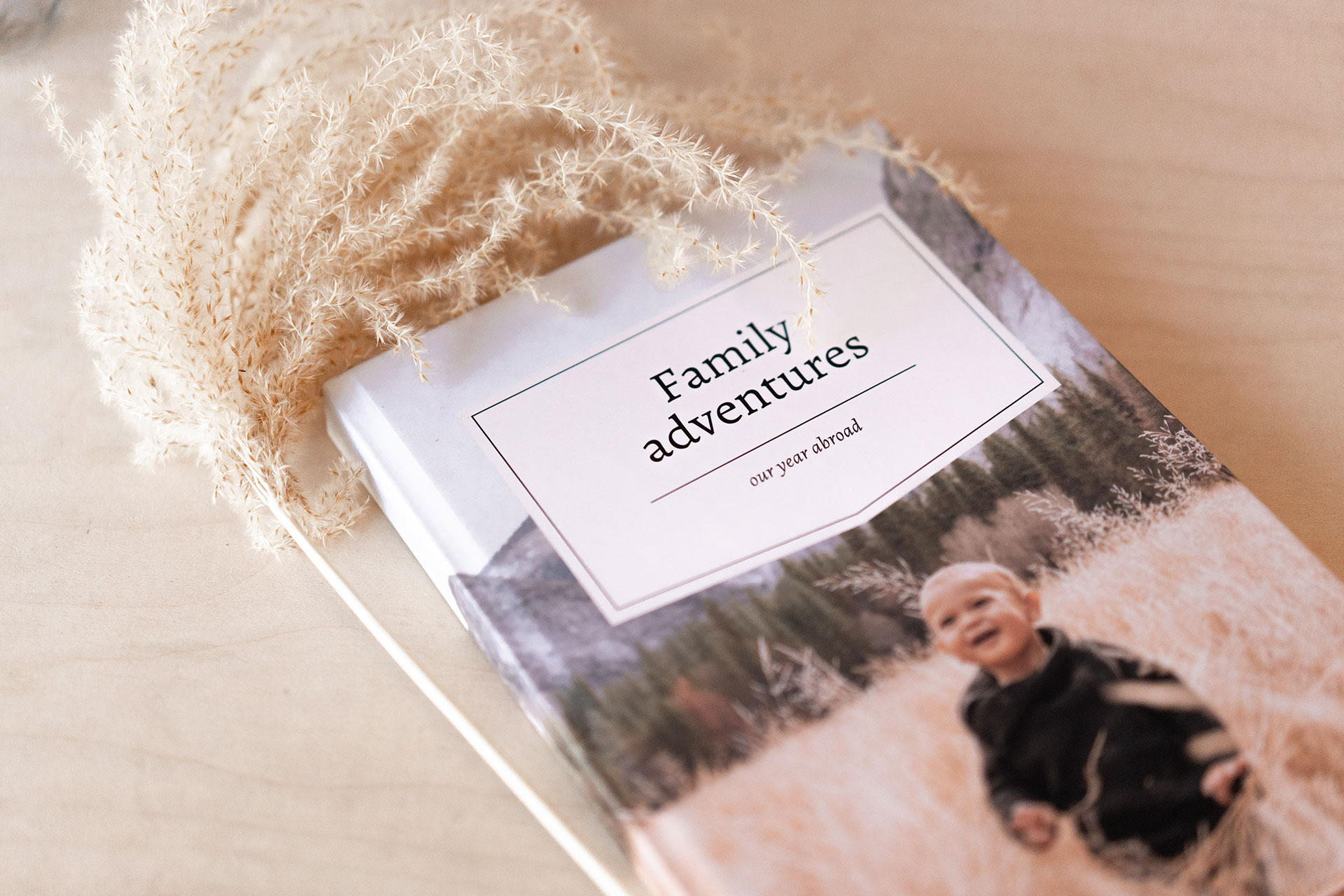  This is how you can make a family book yourself
