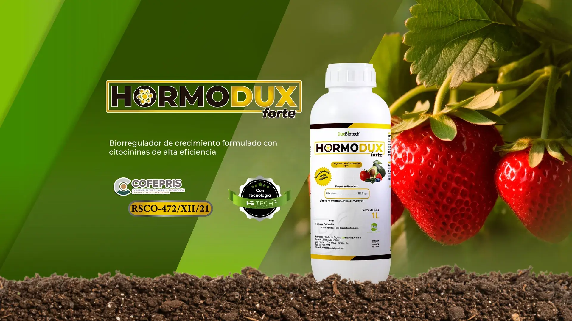 hormodux