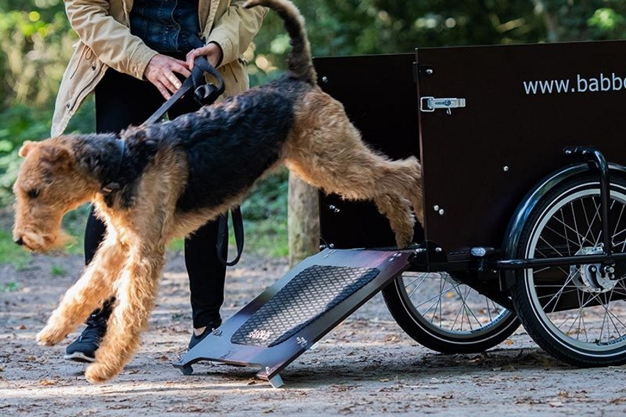 babboe dog bike