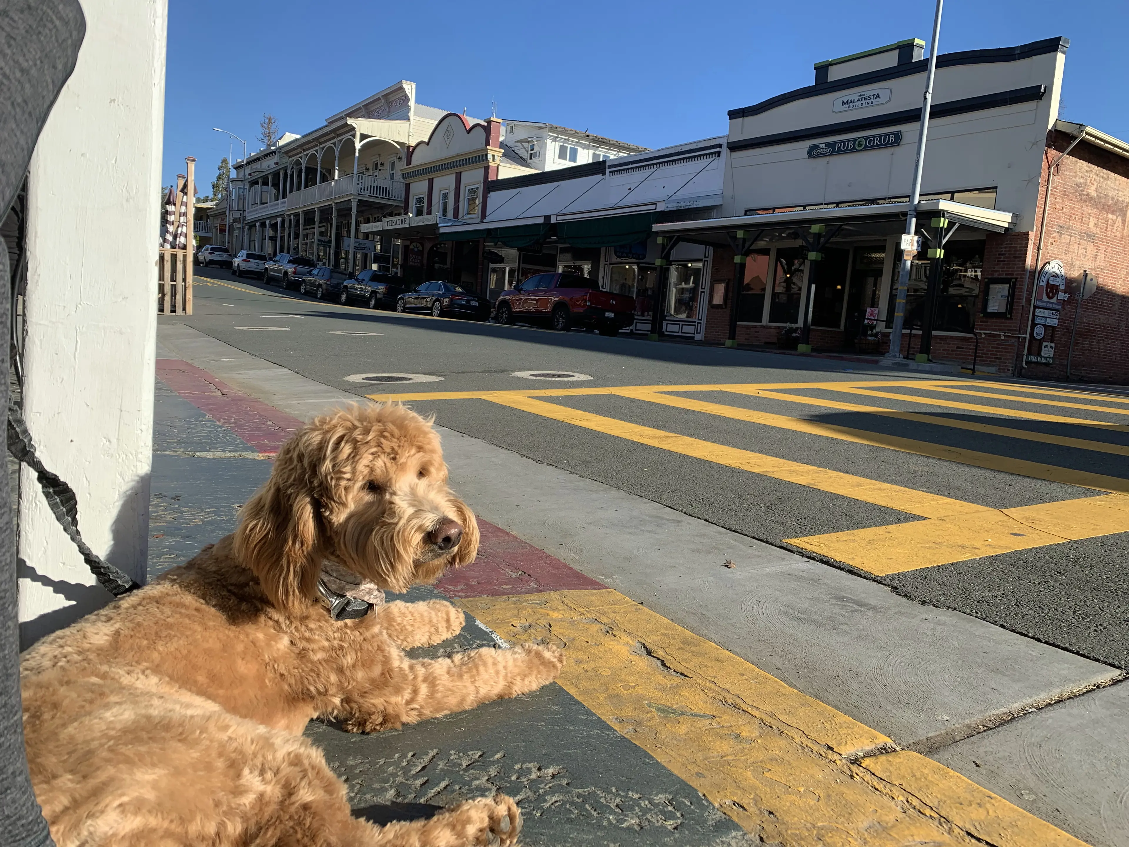 Rowan, photo 20