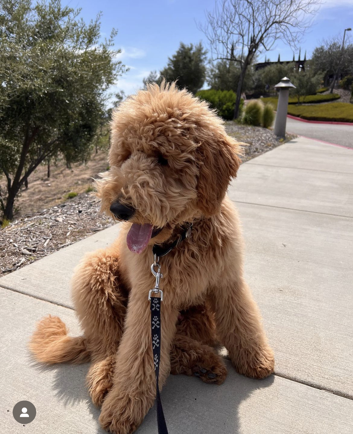 Murphy, photo 7