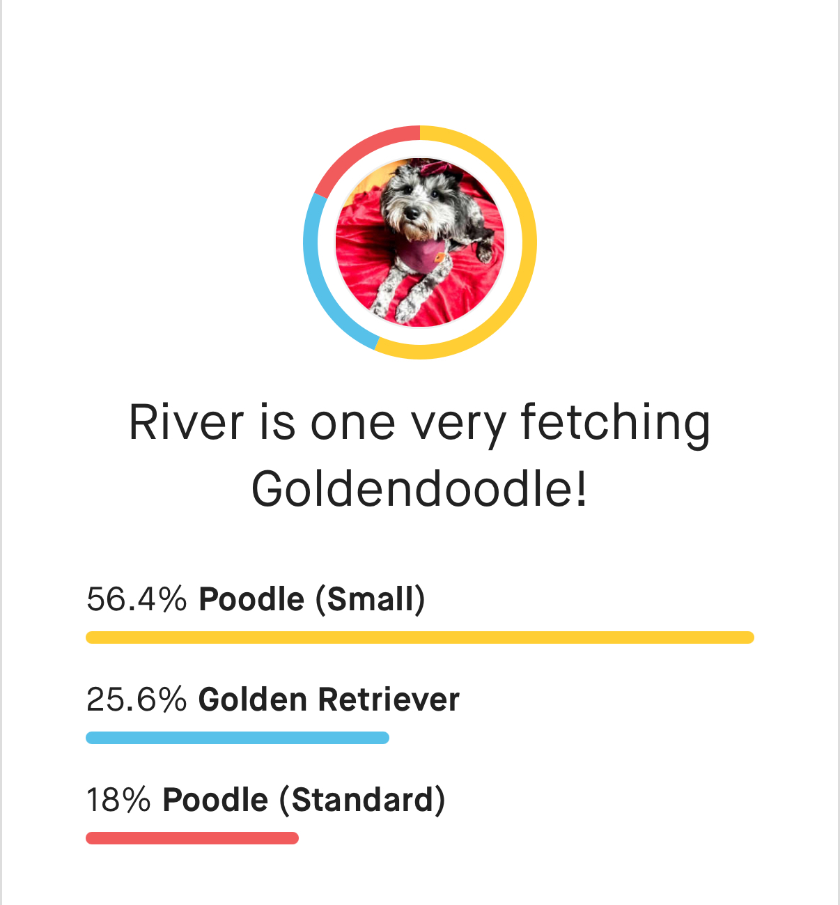 River, photo 1