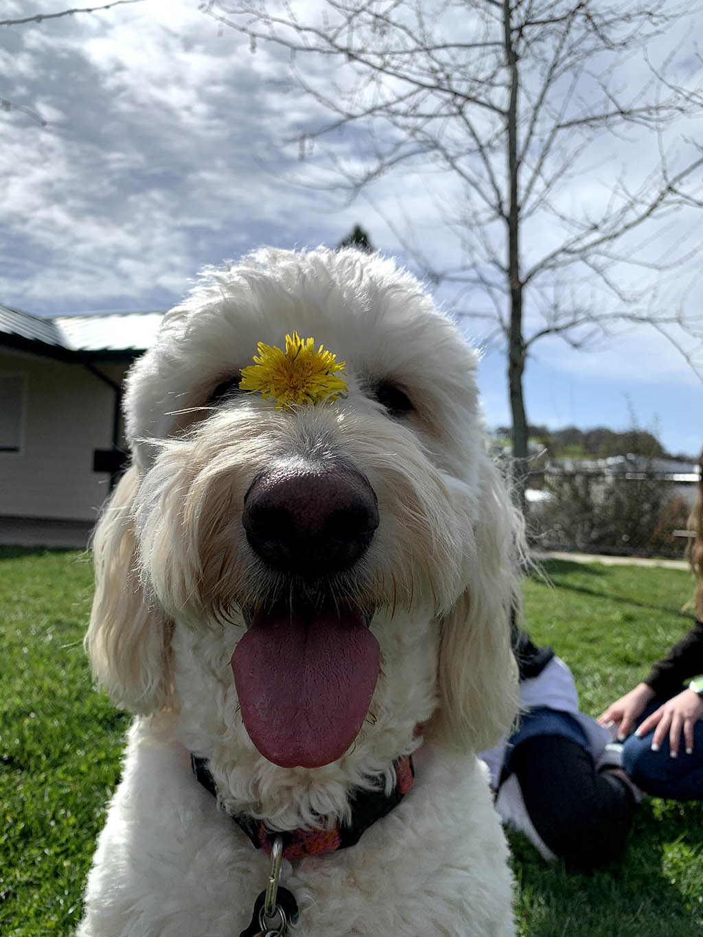 Honey, photo 8