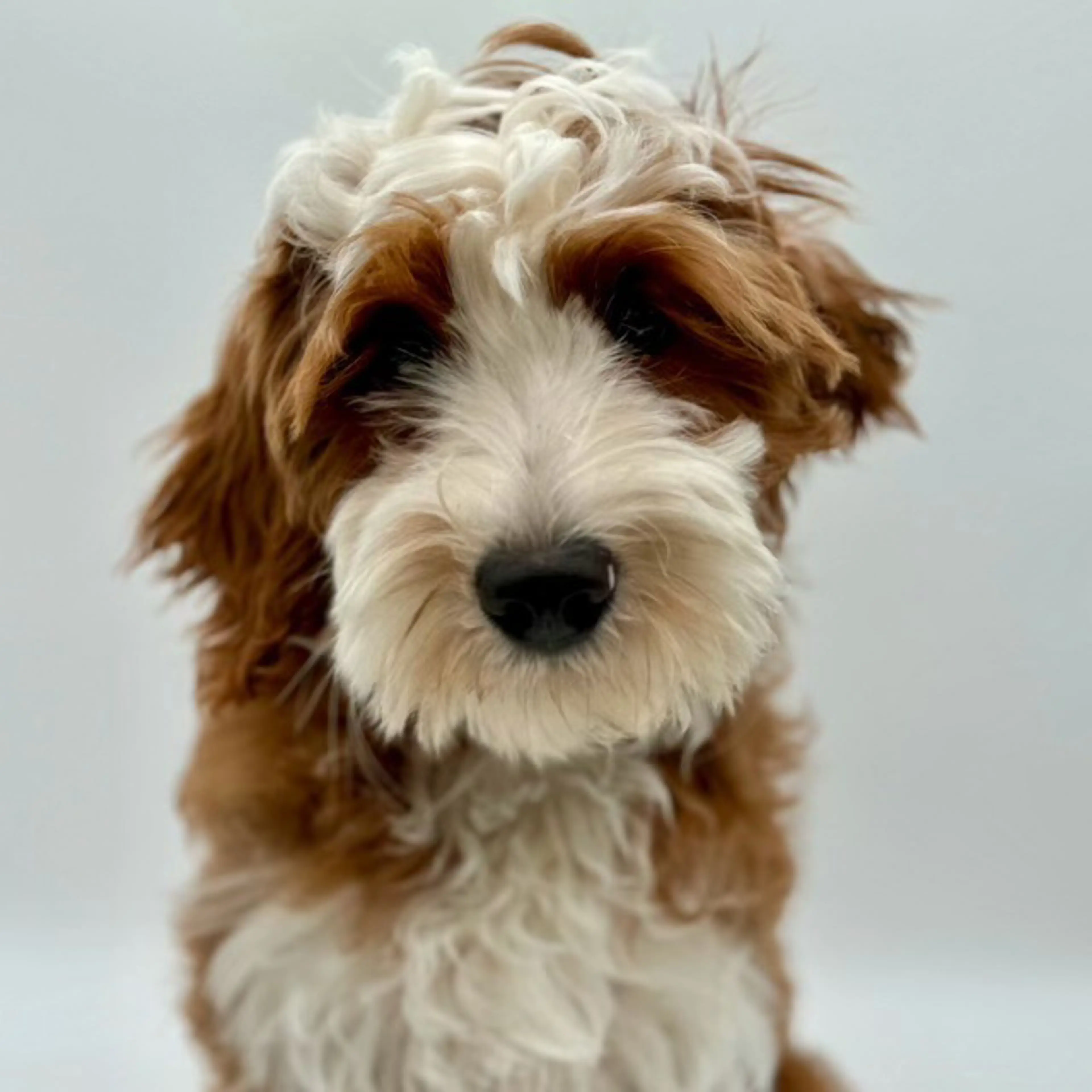 Rome, photo 2
