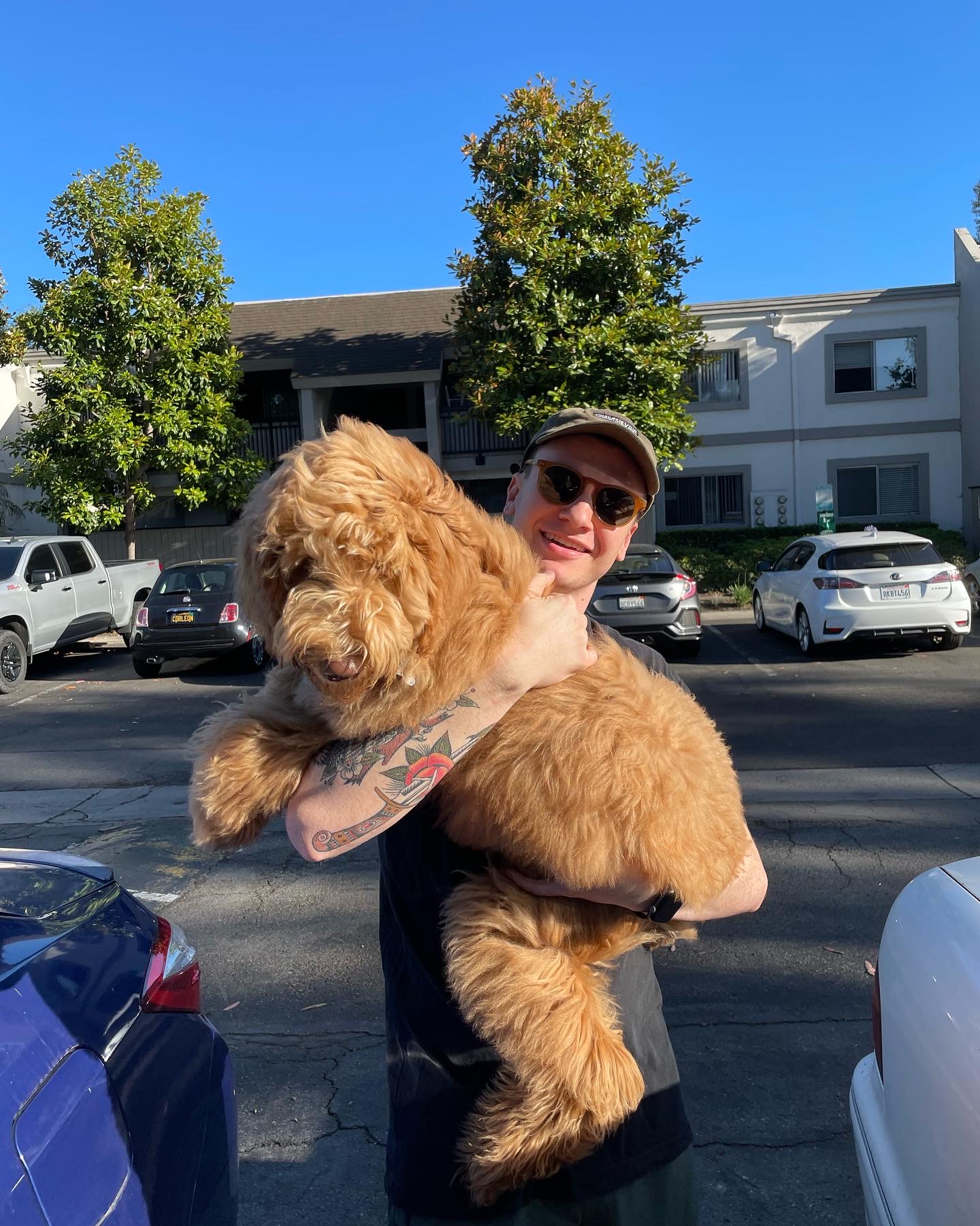 Nala, photo 2