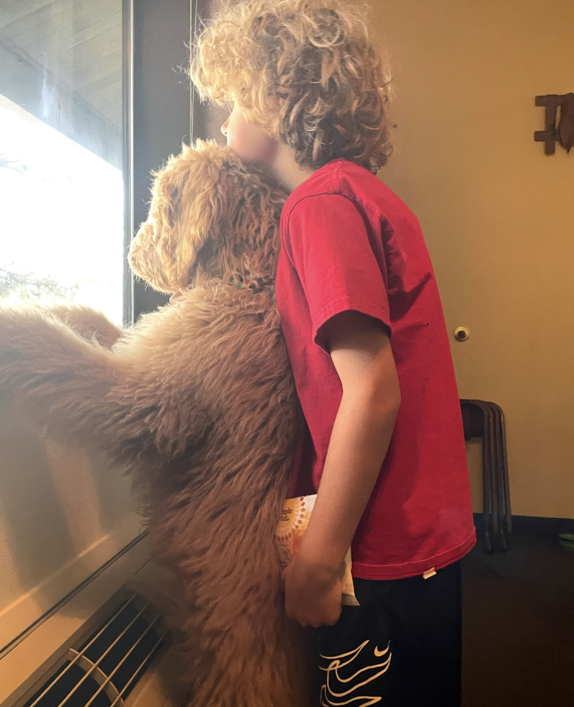 Ollie, photo 19