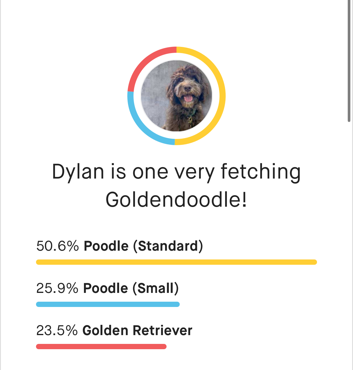 Dylan, photo 6