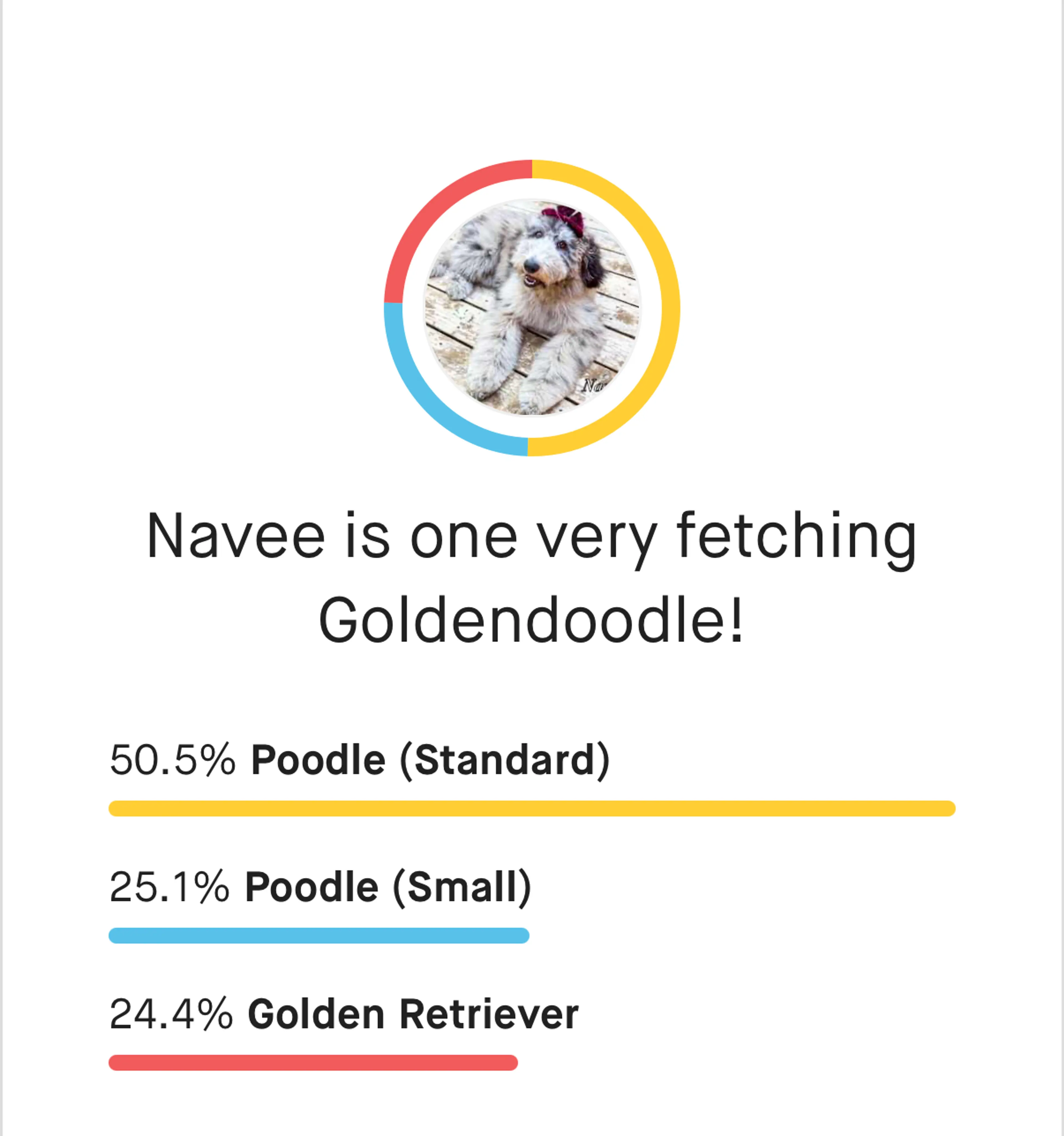 Navee, photo 4