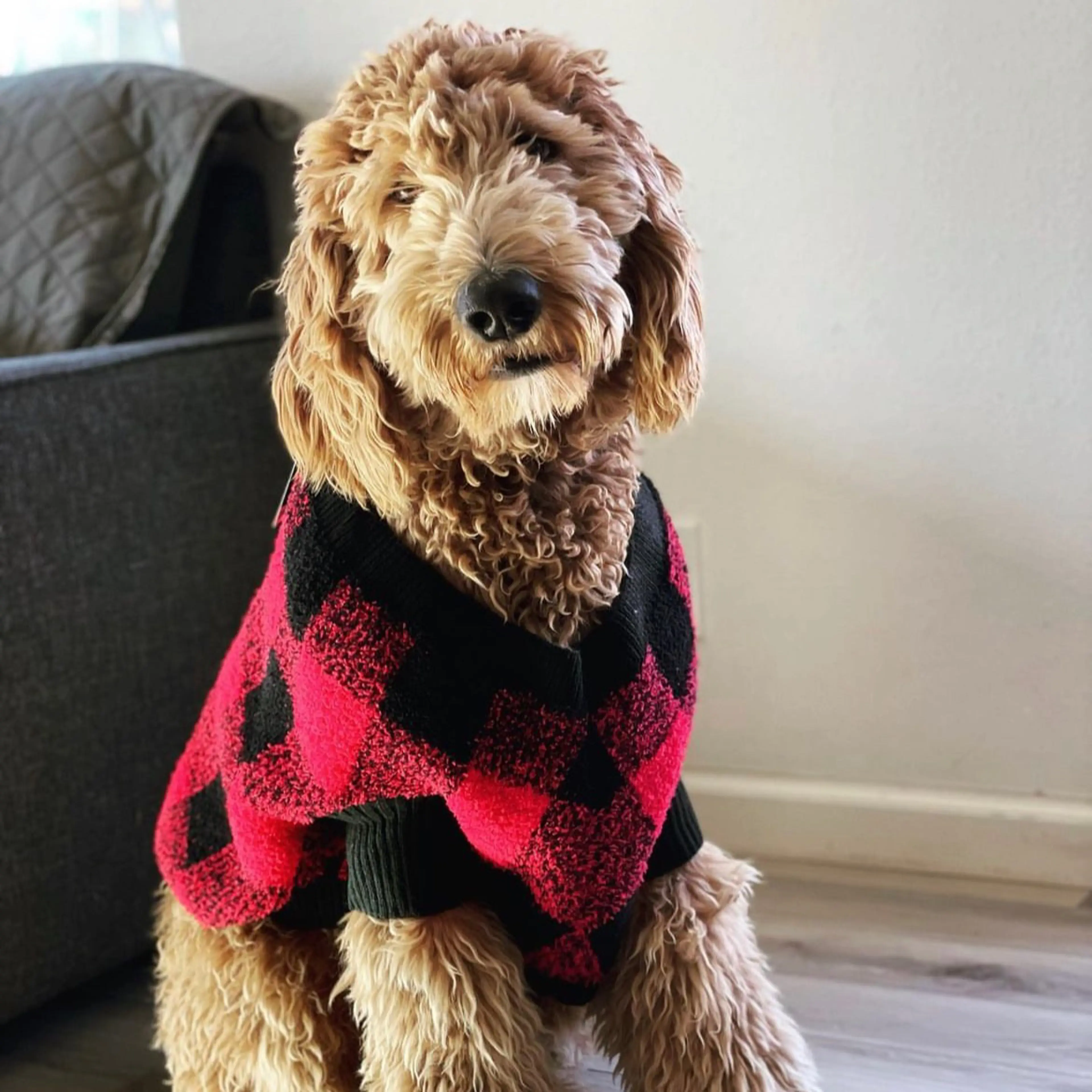 Gus