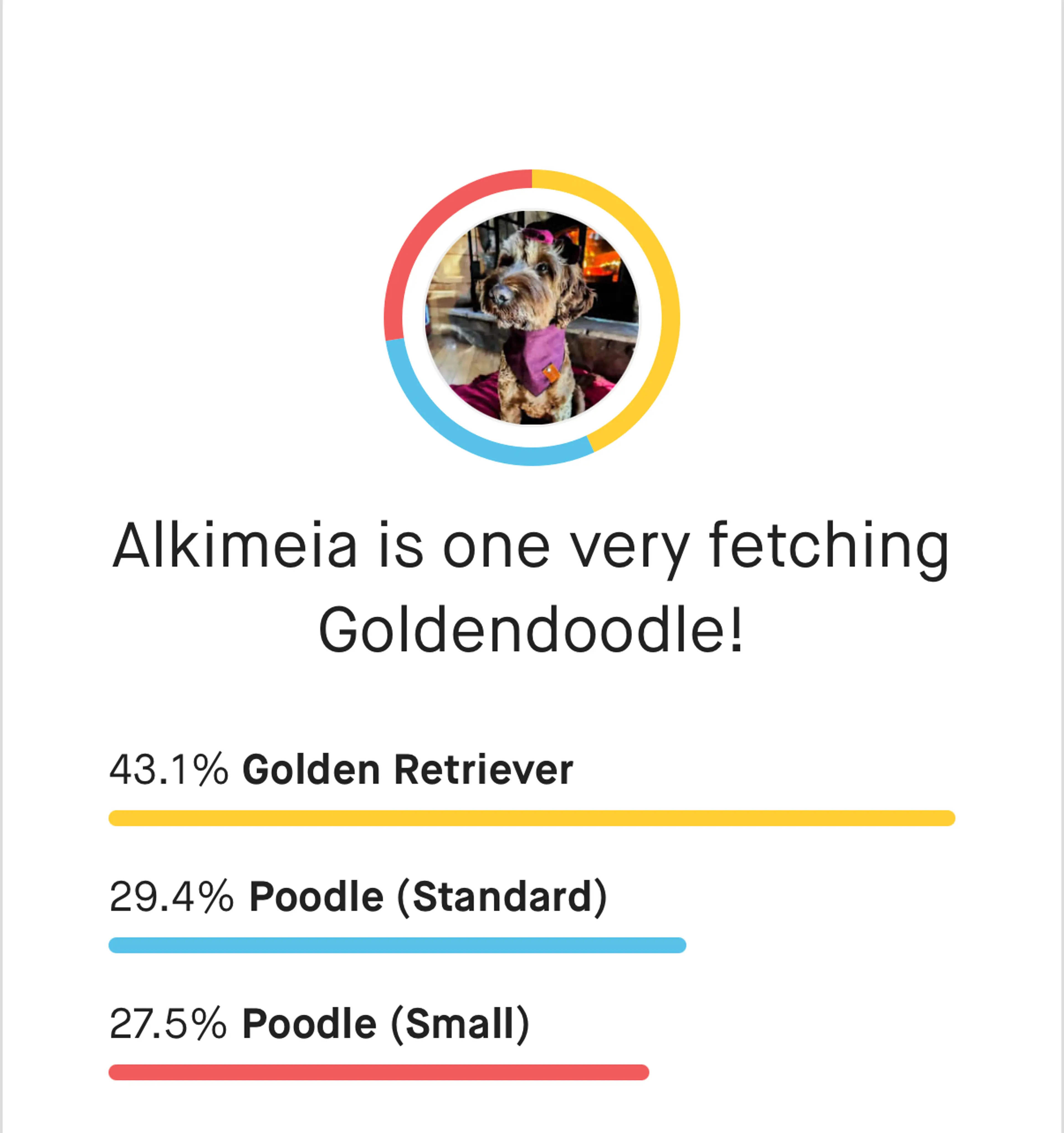 Alkimeia, photo 1