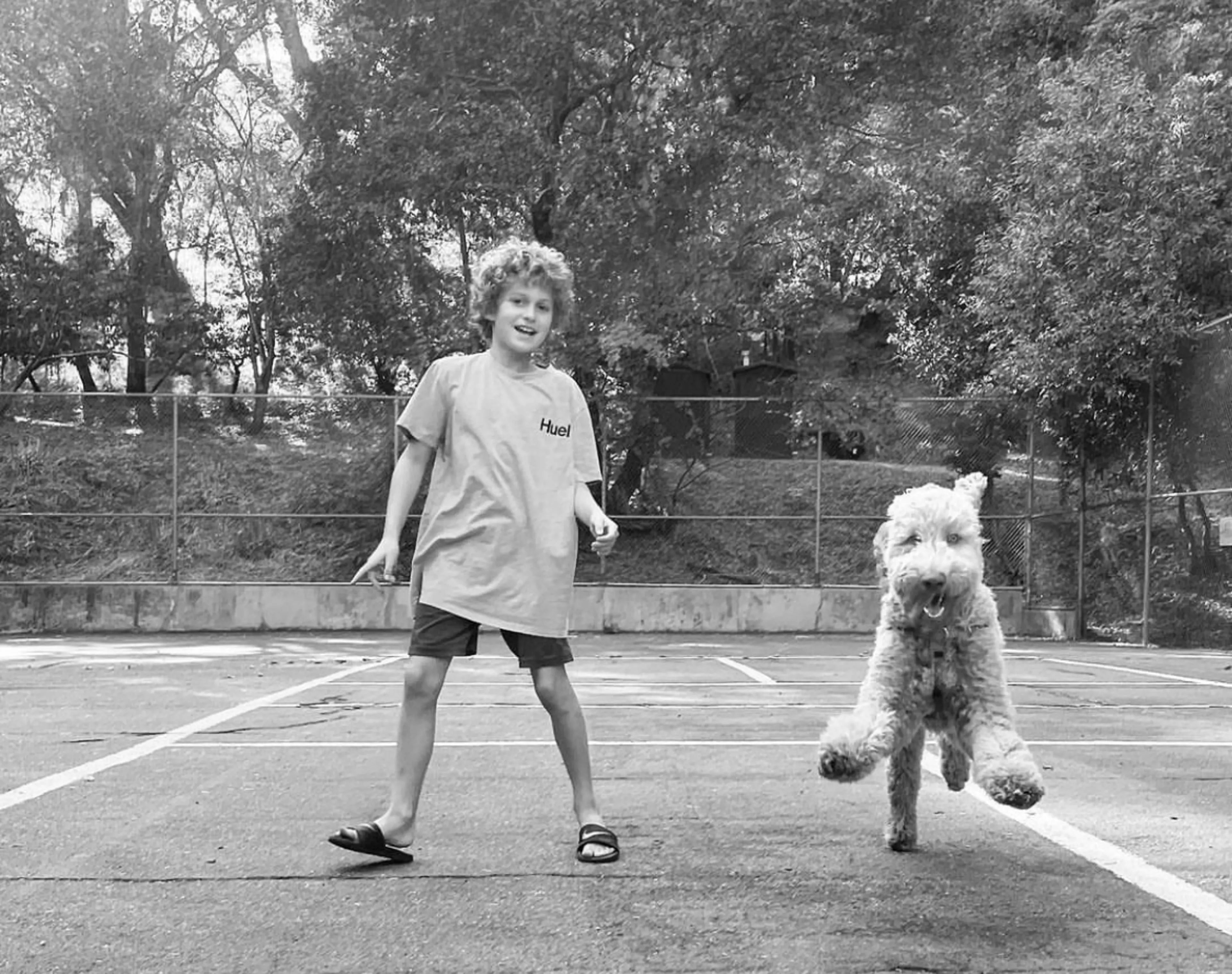 Ollie, photo 15