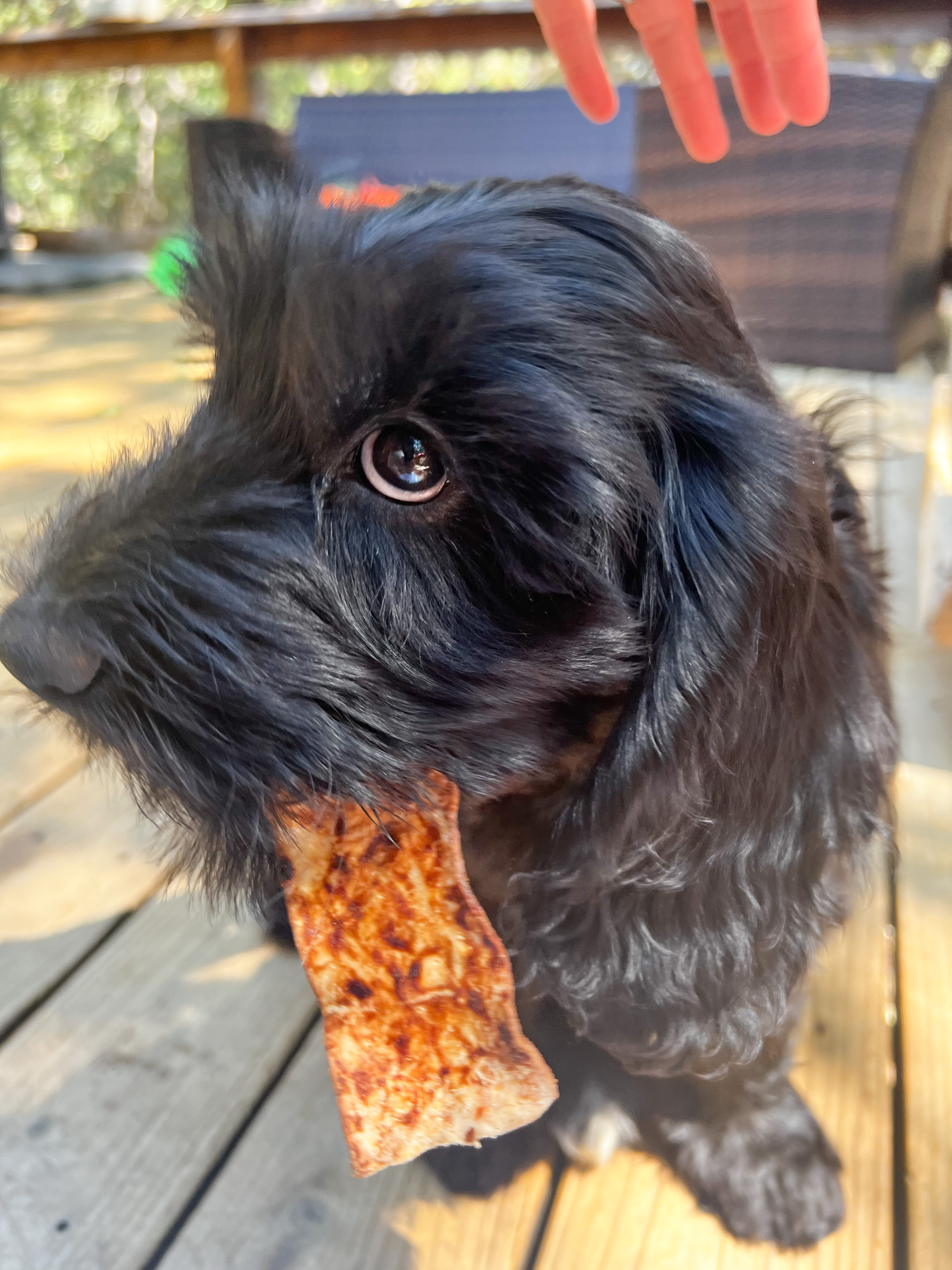 Olive, photo 5