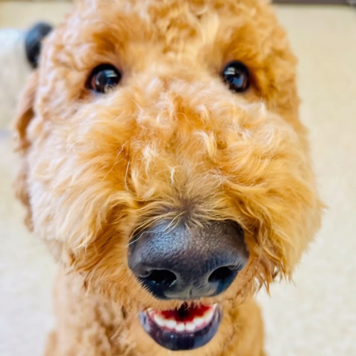 Murphy