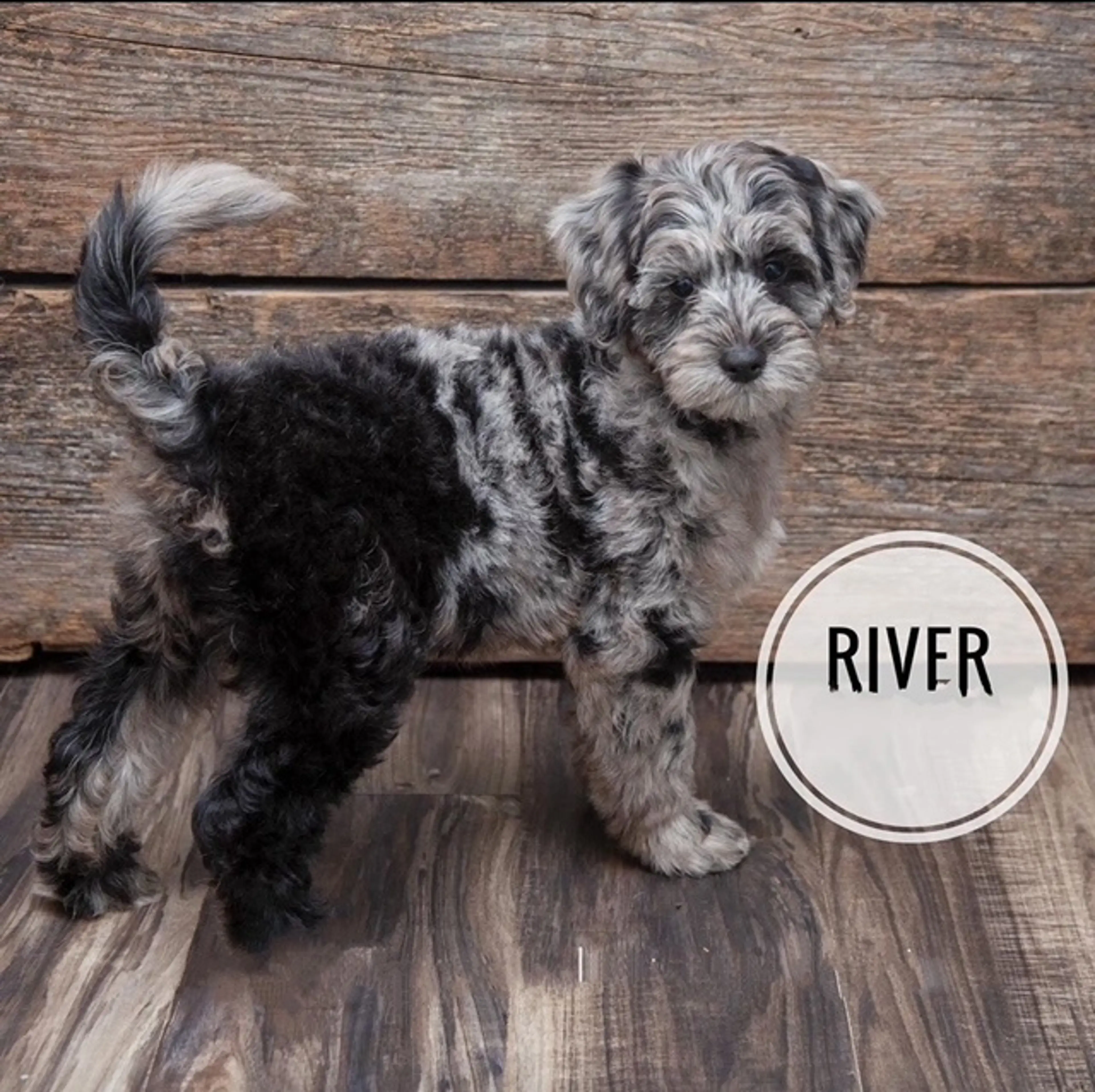 River, photo 5