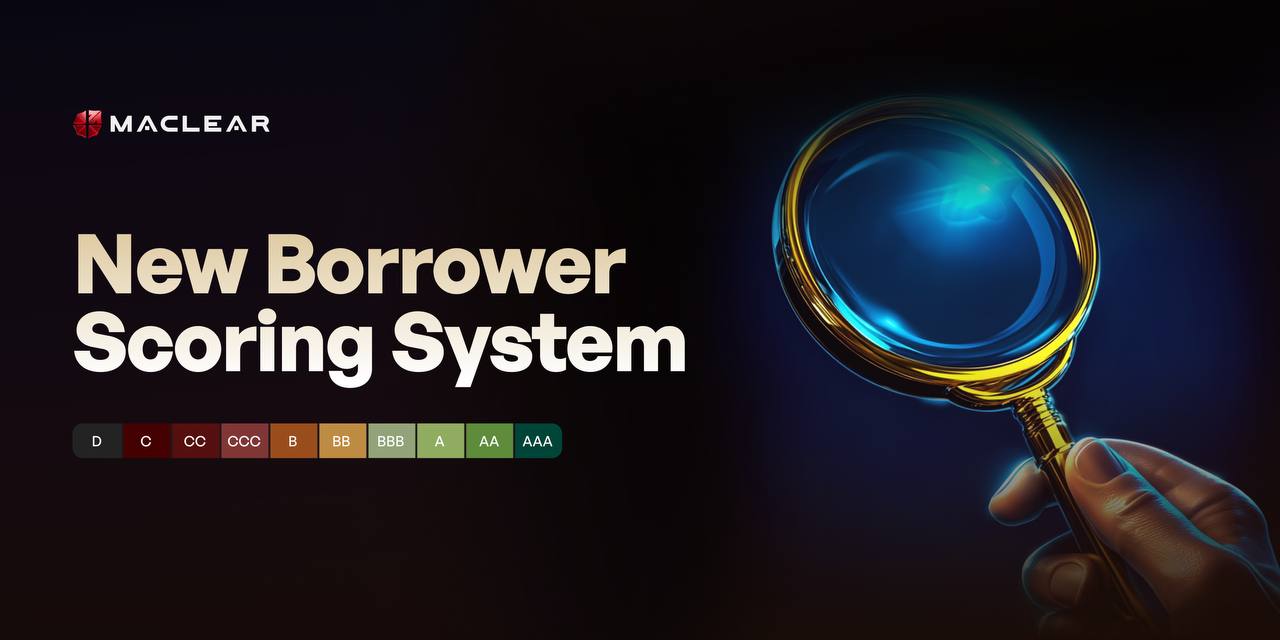 Borrower Scoring System
