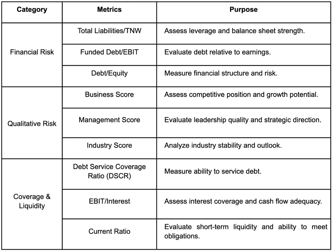 Borrower scoring model metrics by Maclear AG: financial risk, qualitative risk, coverage & liquidity with key ratios and assessment purposes.