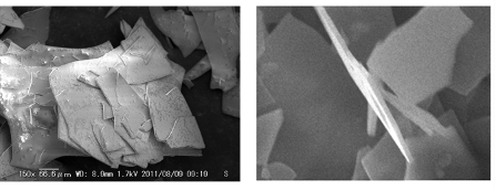 SEM images of granular FLEKA and Microglas glass flakes.png