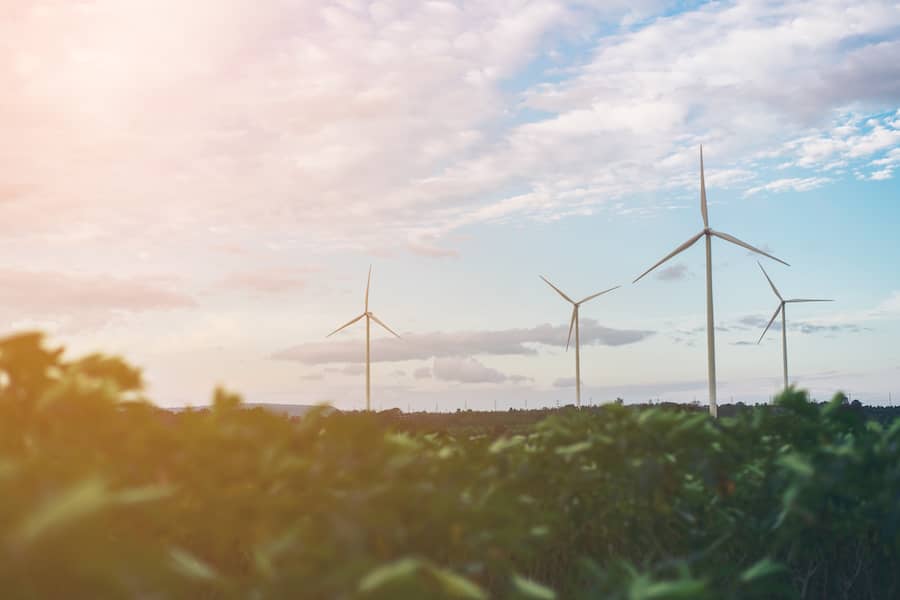 Wind Turbines in a field