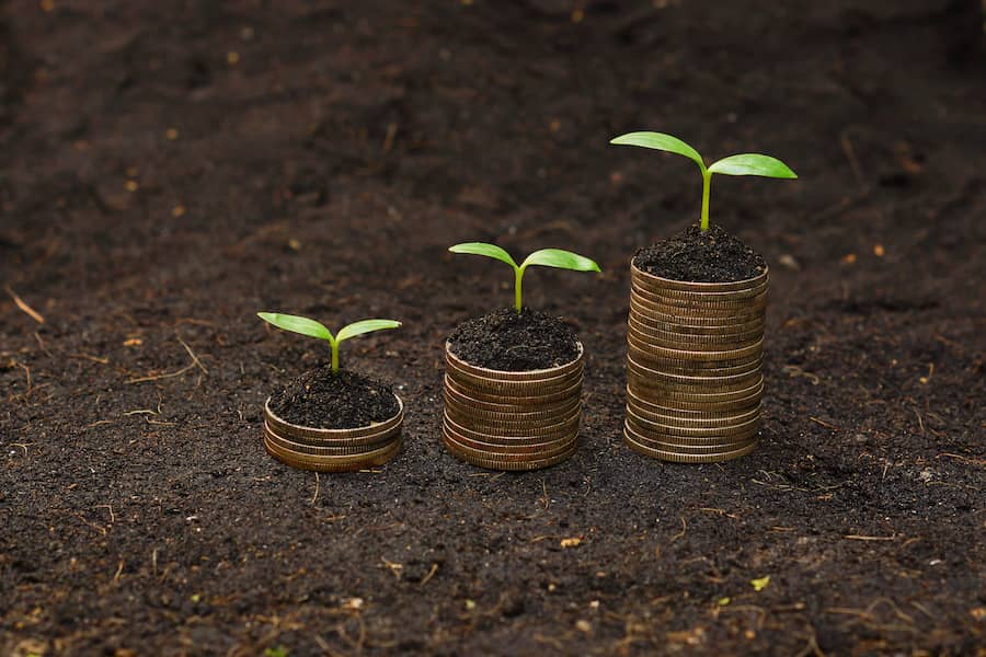 seedlings on coins representing sustainable investing