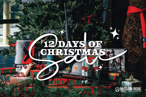 12 Days of Christmas 2025