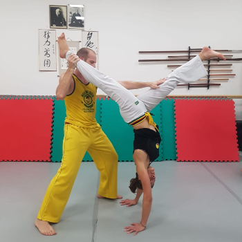 Movement  . Training . Play . Connection