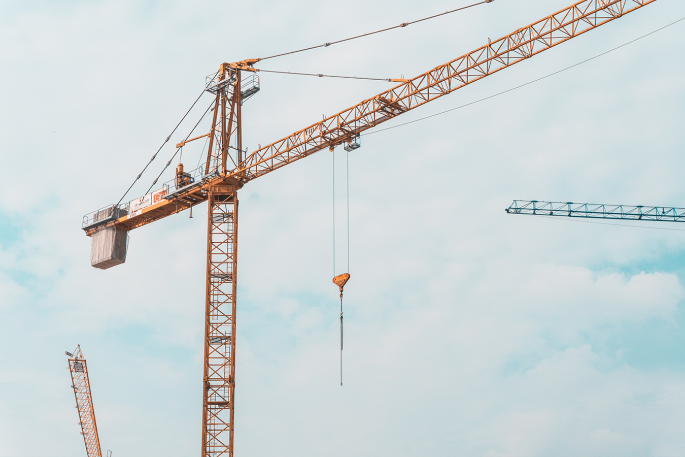 naylor2.jpg - case study marketing image