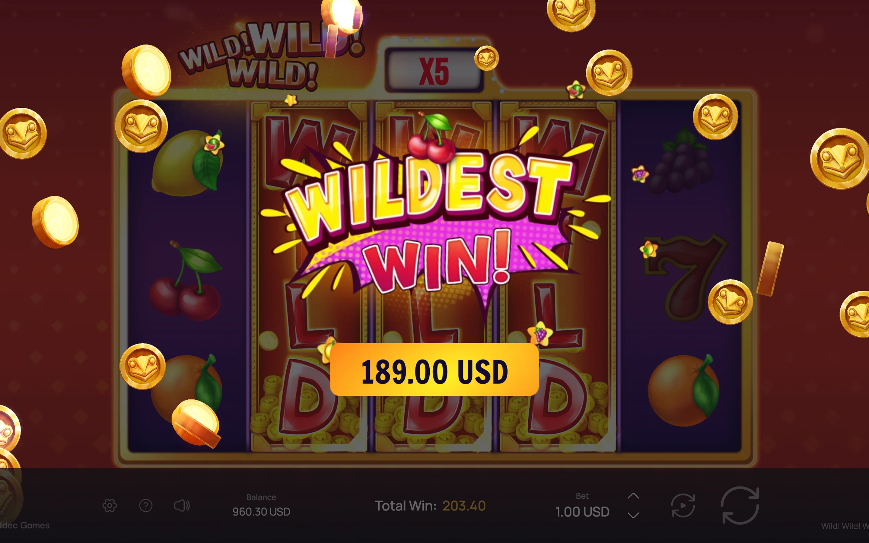 Wild! Wild! WILD! — desktop game screenshot 5 | Riddec Games