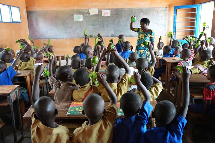 Changing Hearts & Minds: Exploring Environmental Education in Africa ...