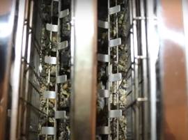 Videz le grille-pain