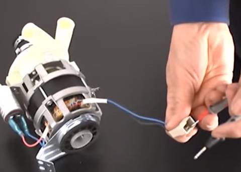 Identifiez l'organe qui a brûlé