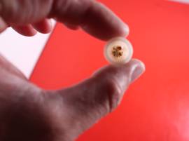 Contrôlez le robinet et le siphon