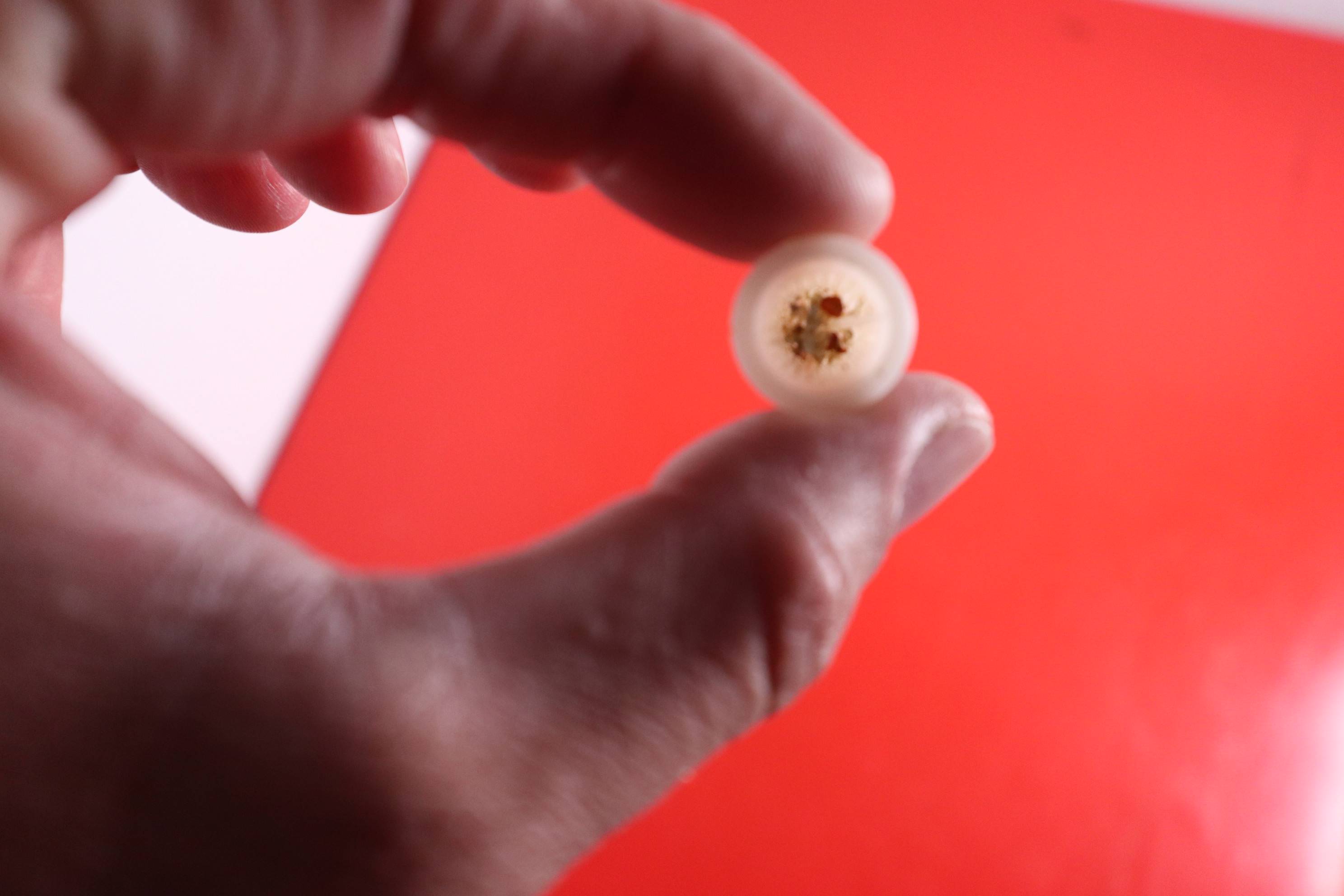 Contrôlez le robinet et le siphon