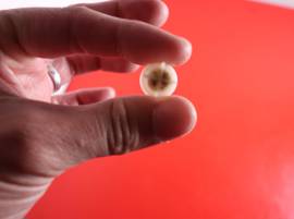 Vérifiez l'arrivée d'eau