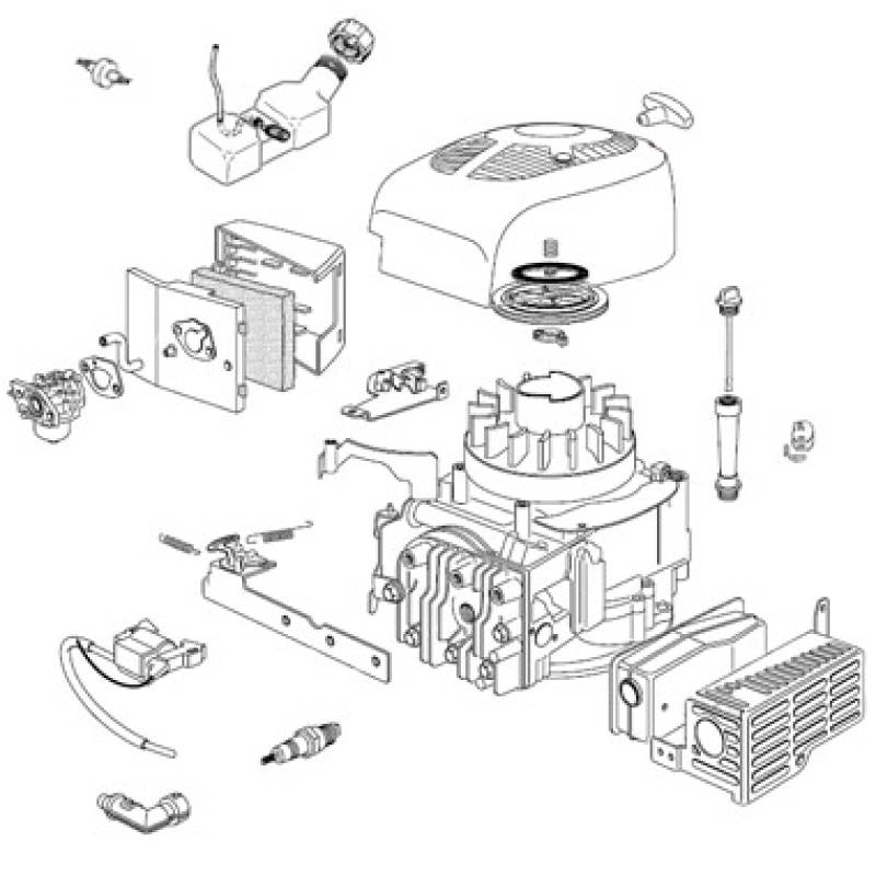 Moteur tondeuse thermique