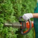 Comment régler le carburateur d'un taille-haie thermique ?