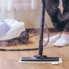 Comment entretenir un nettoyeur vapeur ?