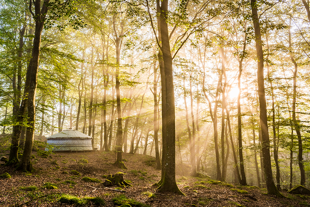 Yurt tent in het midden van een bos in Zuid-Zweden