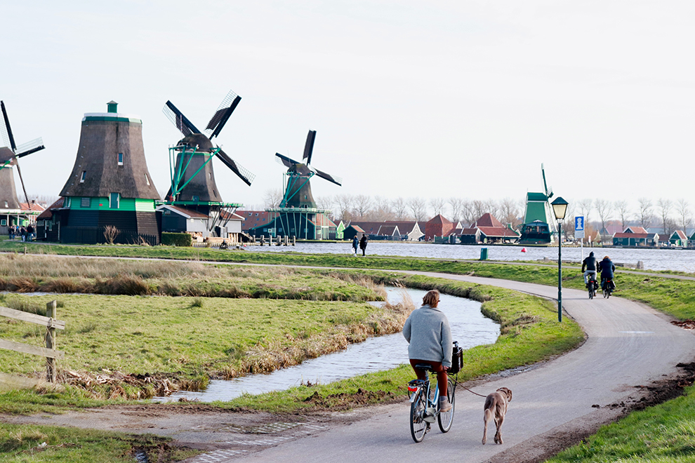Man fiets door typisch Nederland landschap met hond