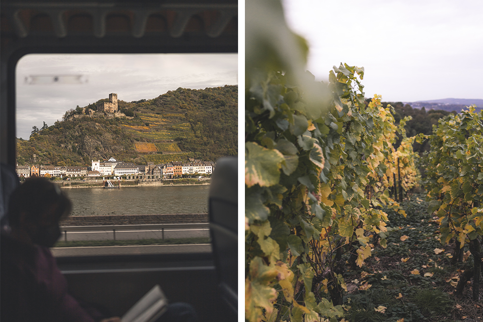 Uitzicht vanuit trein en wijngaarden in Koblenz