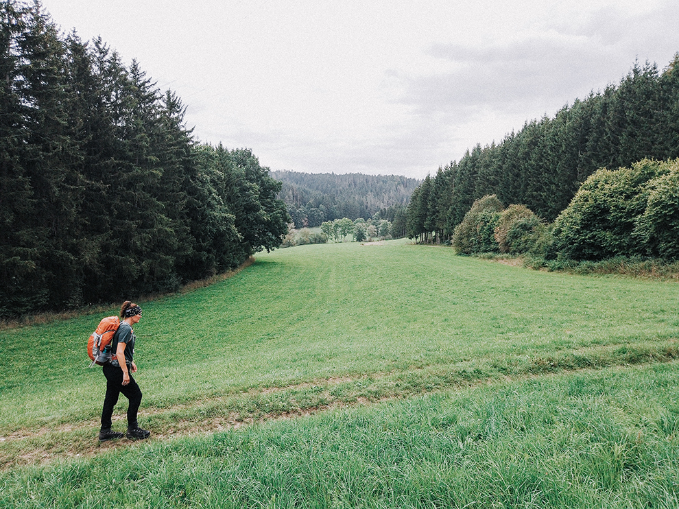 Wandelen naar bos door groene weilanden in Duitsland 