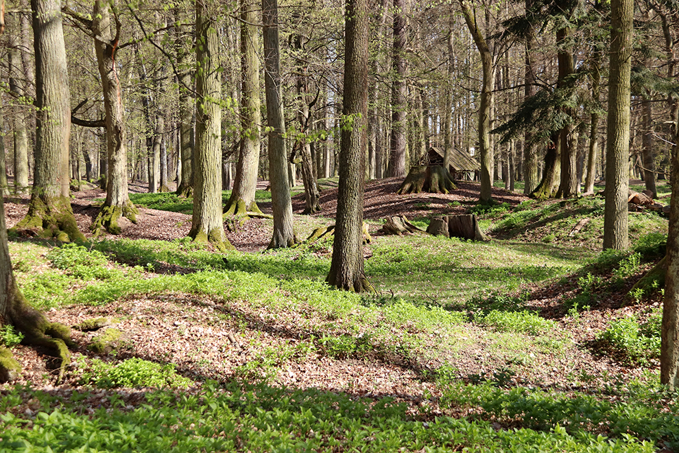 Groene park van Chateau Blatna in Tsjechië 