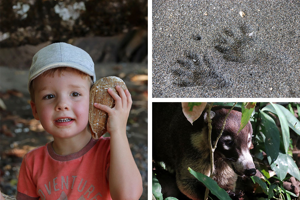 Luisteren aan een schelp en dierenpootjes spotten op het strand in Costa Rica