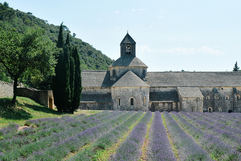Lavendel velden in Aix en Provence