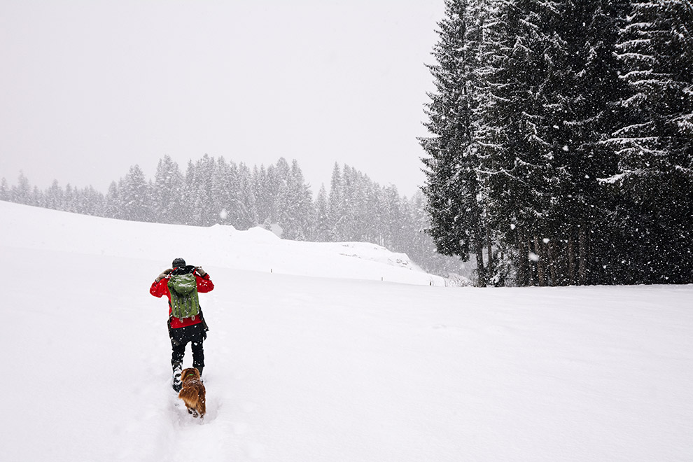 Winterwandelen door de sneeuw met gids Lous en haar hond
