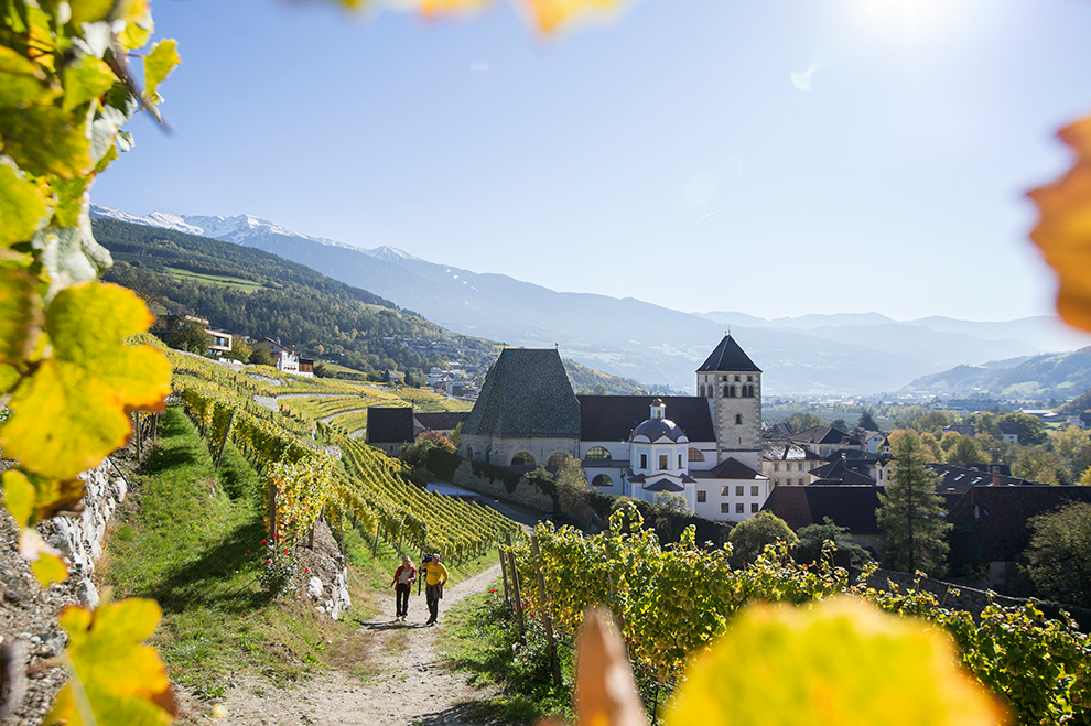 Wijngaarden bij Brixen in Zuid-Tirol